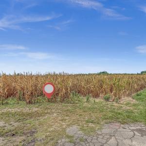 Photo #12 of Tbd Nc-403, Mount Olive, NC 77.5 acres