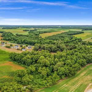 Photo #21 of Tbd Nc-403, Mount Olive, NC 77.5 acres