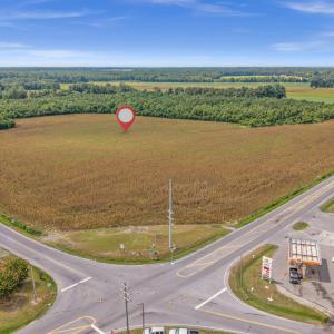 Photo #10 of Tbd Nc-403, Mount Olive, NC 77.5 acres
