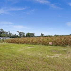 Photo #13 of Tbd Nc-403, Mount Olive, NC 77.5 acres