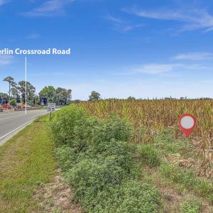 Photo #15 of Tbd Nc-403, Mount Olive, NC 77.5 acres