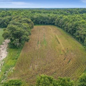 Photo #40 of Tbd Nc-403, Mount Olive, NC 77.5 acres