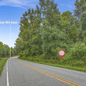 Photo #32 of Tbd Nc-403, Mount Olive, NC 77.5 acres
