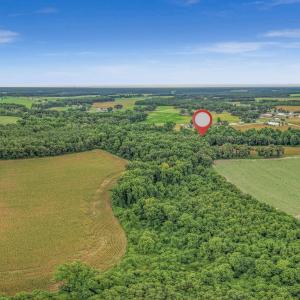 Photo #27 of Tbd Nc-403, Mount Olive, NC 77.5 acres
