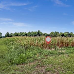 Photo #30 of Tbd Nc-403, Mount Olive, NC 77.5 acres