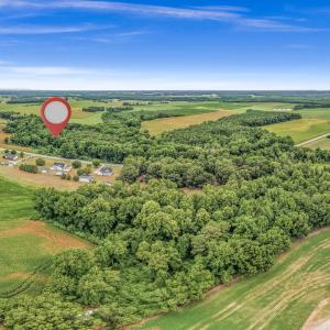 Photo #22 of Tbd Nc-403, Mount Olive, NC 77.5 acres
