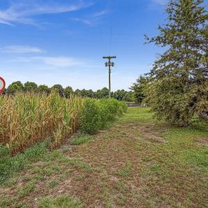Photo #33 of Tbd Nc-403, Mount Olive, NC 77.5 acres