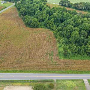 Photo #37 of Tbd Nc-403, Mount Olive, NC 77.5 acres