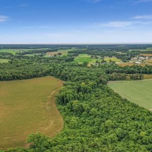 Photo #34 of Tbd Nc-403, Mount Olive, NC 77.5 acres