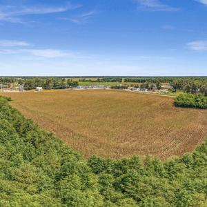 Photo #29 of Tbd Nc-403, Mount Olive, NC 77.5 acres