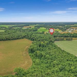 Photo #27 of Tbd Nc-403, Mount Olive, NC 77.5 acres