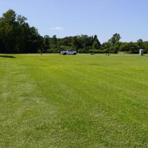 Photo #6 of 209 Laguna, Jacksonville, NC 0.2 acres