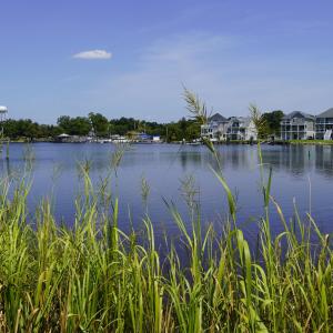 Photo #1 of 209 Laguna, Jacksonville, NC 0.2 acres