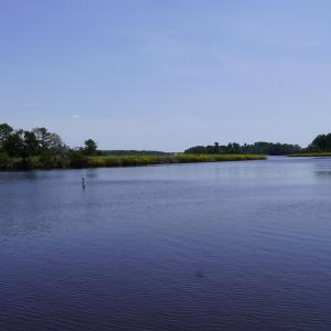 Photo #12 of 209 Laguna, Jacksonville, NC 0.2 acres