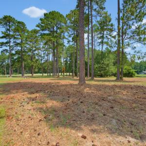 Photo #4 of 1940 Bill Hooks, Whiteville, NC 0.6 acres