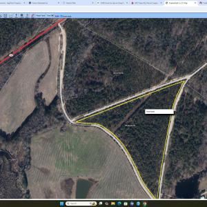 Photo #2 of Tbd Eugene Woodward, Mount Croghan, SC 33.0 acres
