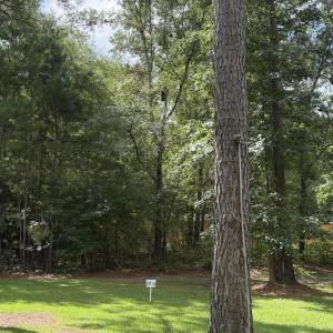 Photo #11 of 2529 Mary Frances, Bolivia, NC 10.5 acres