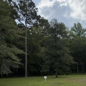 Photo #13 of 2529 Mary Frances, Bolivia, NC 10.5 acres