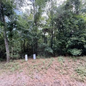 Photo #2 of 1428 Rainbow Falls, North Augusta, SC 8.2 acres