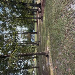 Photo #2 of Lot #1 Prison Camp, Whiteville, NC 0.5 acres
