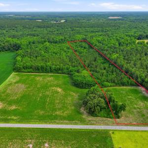 Photo #4 of Lot 9 Point Caswell Road, Willard, NC 11.0 acres