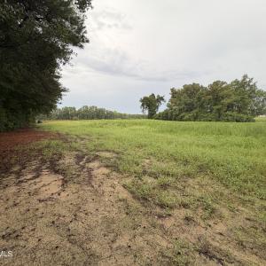 Photo #9 of Lot 9 Point Caswell Road, Willard, NC 11.0 acres