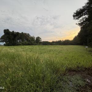 Photo #7 of Lot 9 Point Caswell Road, Willard, NC 11.0 acres