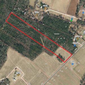 Photo #5 of Lot 9 Point Caswell Road, Willard, NC 11.0 acres