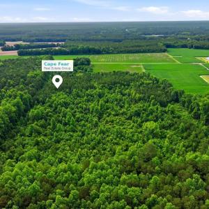 Photo #3 of Lot 9 Point Caswell Road, Willard, NC 11.0 acres