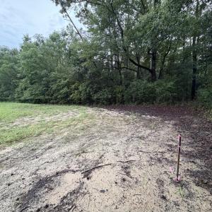 Photo #8 of Lot 9 Point Caswell Road, Willard, NC 11.0 acres