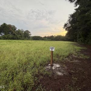 Photo #12 of Lot 9 Point Caswell Road, Willard, NC 11.0 acres