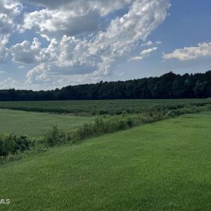 Photo #1 of 252 Haw Branch, Richlands, NC 23.7 acres