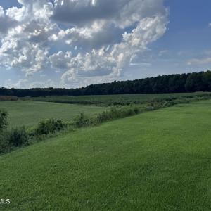 Photo #2 of 252 Haw Branch, Richlands, NC 23.7 acres