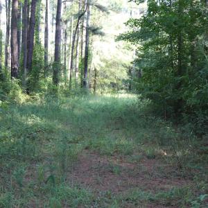 Photo #12 of Tbd River Haven, Harrells, NC 3.1 acres