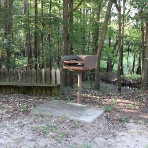Photo #16 of Tbd River Haven, Harrells, NC 3.1 acres
