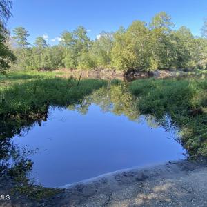 Photo #19 of Tbd River Haven, Harrells, NC 3.1 acres