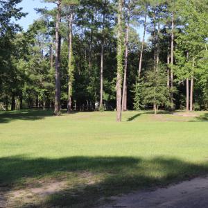 Photo #5 of Tbd River Haven, Harrells, NC 3.1 acres