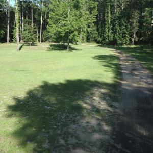 Photo #13 of Tbd River Haven, Harrells, NC 3.1 acres
