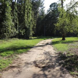 Photo #3 of Tbd River Haven, Harrells, NC 3.1 acres
