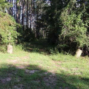 Photo #8 of Tbd River Haven, Harrells, NC 3.1 acres