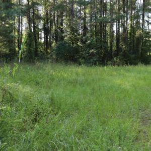 Photo #10 of Tbd River Haven, Harrells, NC 3.1 acres
