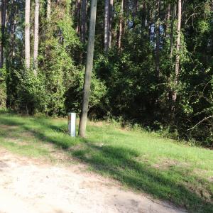 Photo #7 of Tbd River Haven, Harrells, NC 3.1 acres