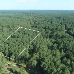 Photo #24 of Tbd River Haven, Harrells, NC 3.1 acres