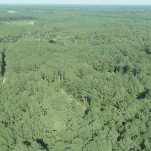 Photo #22 of Tbd River Haven, Harrells, NC 3.1 acres