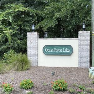 Photo #1 of 289 Okeechobee, Wilmington, NC 0.4 acres
