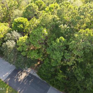Photo #3 of 289 Okeechobee, Wilmington, NC 0.4 acres