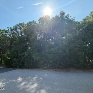 Photo #5 of 289 Okeechobee, Wilmington, NC 0.4 acres