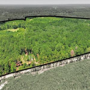 Photo #42 of 170 Landing, Jackson, SC 143.8 acres