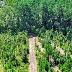 Photo #57 of 170 Landing, Jackson, SC 143.8 acres