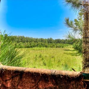 Photo #27 of 170 Landing, Jackson, SC 143.8 acres